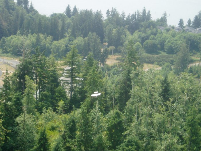 A Balsa wood glider, thrown from the top of the column