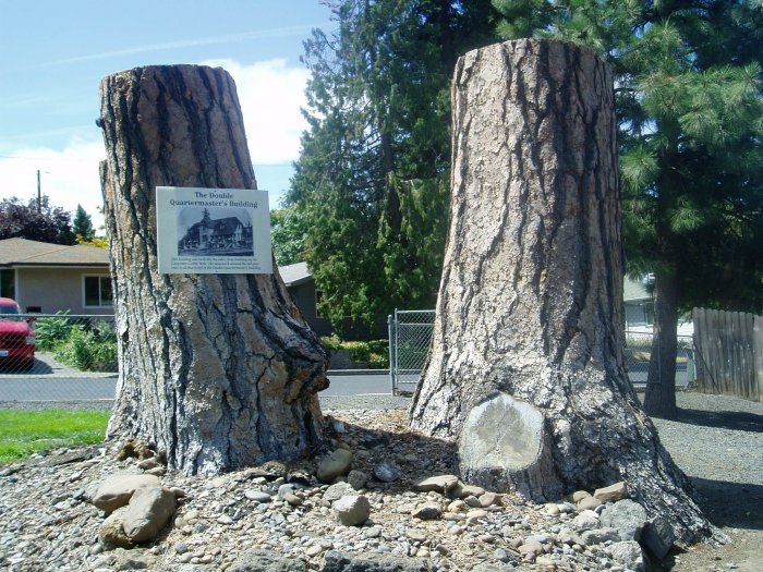 All that remains of the Double Quartermaster's building