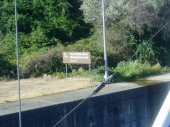 We enter a lock of The Dalles Dam, so that we can proceed east to Pasco