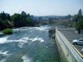 The Spokane Falls in Riverfront Park