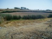 This is a giant pothole on the Bisson Road Scabland, created by the Missoula Floods