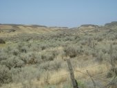 Channeled scabland along SR 28