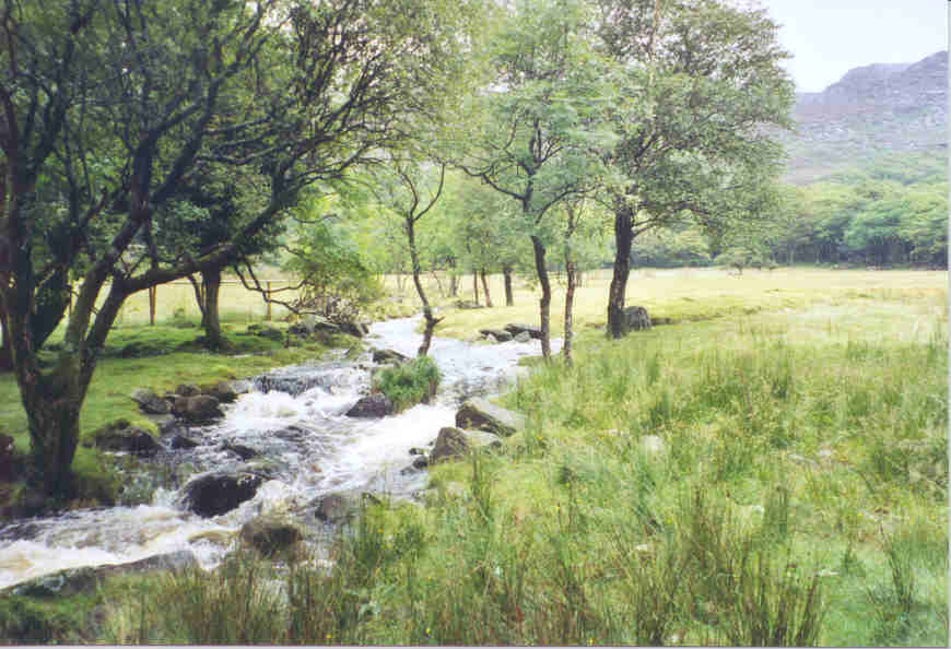 The River Artro, Snowdonia, Wales.  Artro means 'bear' or 'bear-like' in Welsh.