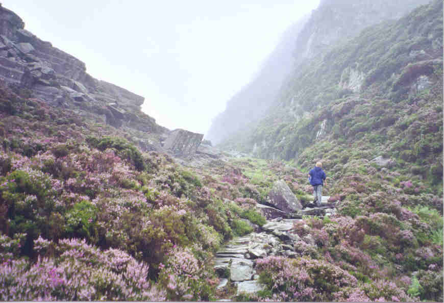 The Roman Steps and the Rhinoggs, Snowdonia, Wales