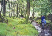 Hiking from Lake Cwm Bychan to the Roman steps