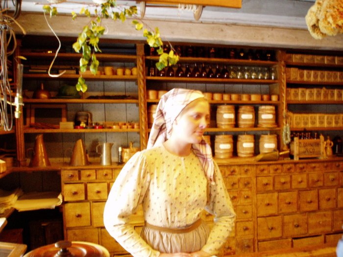 Skansen docent