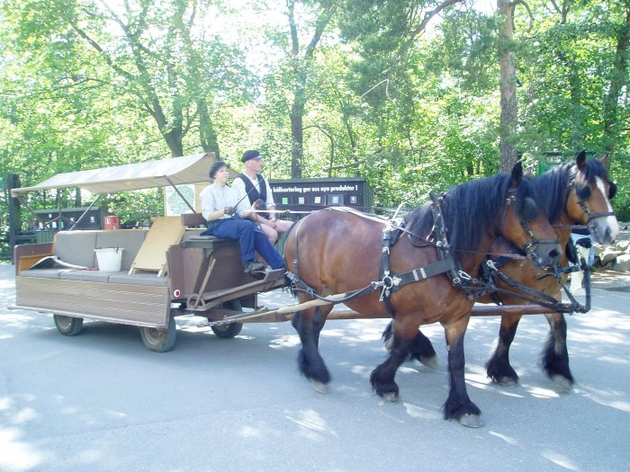 Skansen