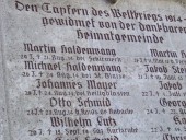 Two of my grandfather's brothers were the first townsmen to die in World War I