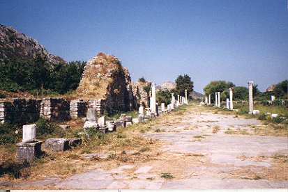 Roman ruins, Ephesus, Turkey